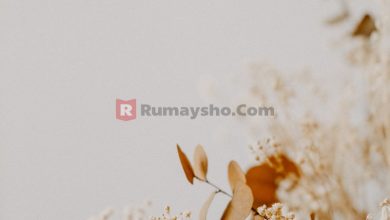 Amalan-amalan yang Bermanfaat Bagi Mayit