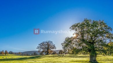 Kiat-kiat Mengisi Waktu Pagi