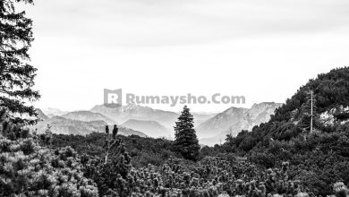 Do’a Agar Diselamatkan dari Penyakit ‘Syuh’ (Tamak & Kikir)