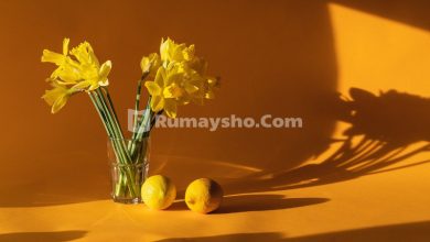 Kapan Wanita Boleh Mulai Melaksanakan Shalat Fardhu di Rumah