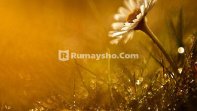 Shalat Sunnah Ba'diyah Jum'at