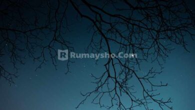 Seandainya Amalan itu Baik