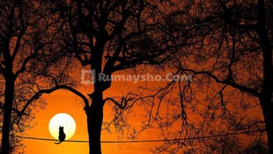 Tidak Cukup Niatan Baik dalam Beramal