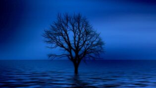 Taubat Nasuha: Syarat, Tanda Diterima, dan Bahaya Menunda Taubat