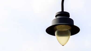 Allah Maha Bijaksana, menetapkan takdir, hukum, dan keputusan pada hari kiamat.